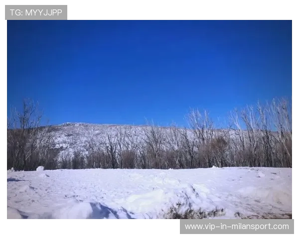 滑雪落地震得雪面裂开？探秘极速滑行背后的震撼瞬间