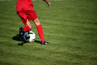 中国篮球俱乐部青训体系绩效评估方法，篮球俱乐部青训营